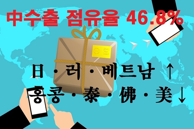 지난해 우리나라 화장품 수출의 46.8%는 중국을 통해 이뤄졌으며 중국은 단일 국가로는 최초로 수출 30억 달러를 돌파했다.