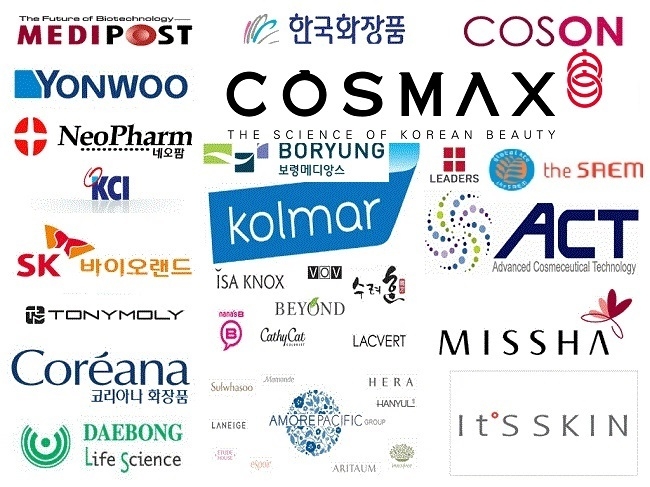 지난해 국내 화장품 기업들은 매출 성장과 수익경영 양 측면에서 크게 고전했던 것으로 나타났으며 특히 상위사들의 성장세가 크게 둔화됐을 뿐만 아니라 수익(영업이익, 당기순이익)에서도 예년의 성장세를 찾아보기 어려웠다.