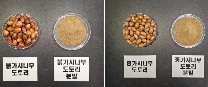 국립산림과학원이 종사기나무‧붉가시나무 도토리 껍질 추출물 2건을 국제화장품원료집(ICID)에 등재했다.