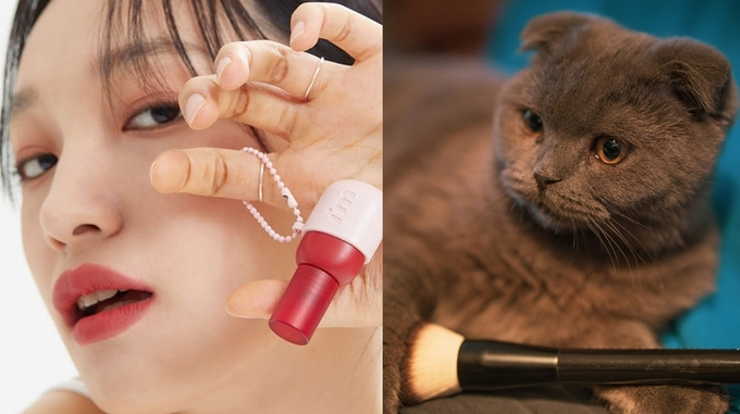 넷플릭스의 적은 잠과 고양이? 무해함이 소비문화의 핵심 키워드로 부상했다. 2025년에도 마음이 몽글몽글해지는 무해한 제품이 주목받을 전망이다. 