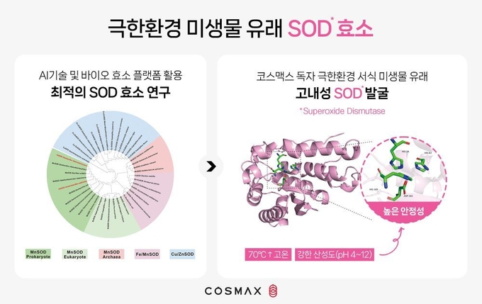 코스맥스차이나가 개발에 성공한 극한환경 미생물 유래 SOD 효소 발굴과 안정화 기술에 대한 내용.