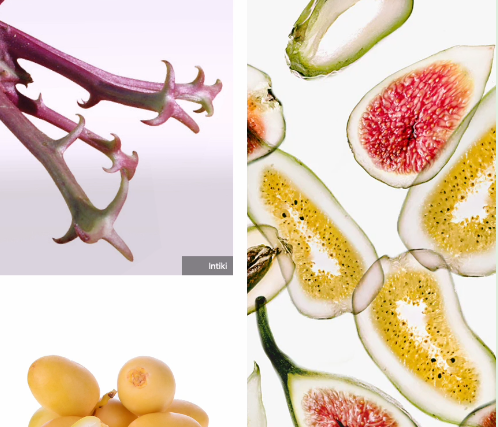 사진 출처 : WGSN