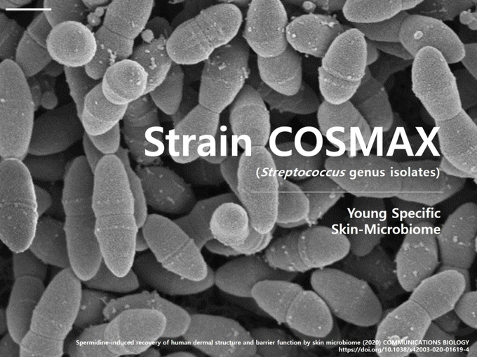 코스맥스가 발견한 피부 유익균 배양액 ‘Strain-COSMAX’ 현미경 사진.