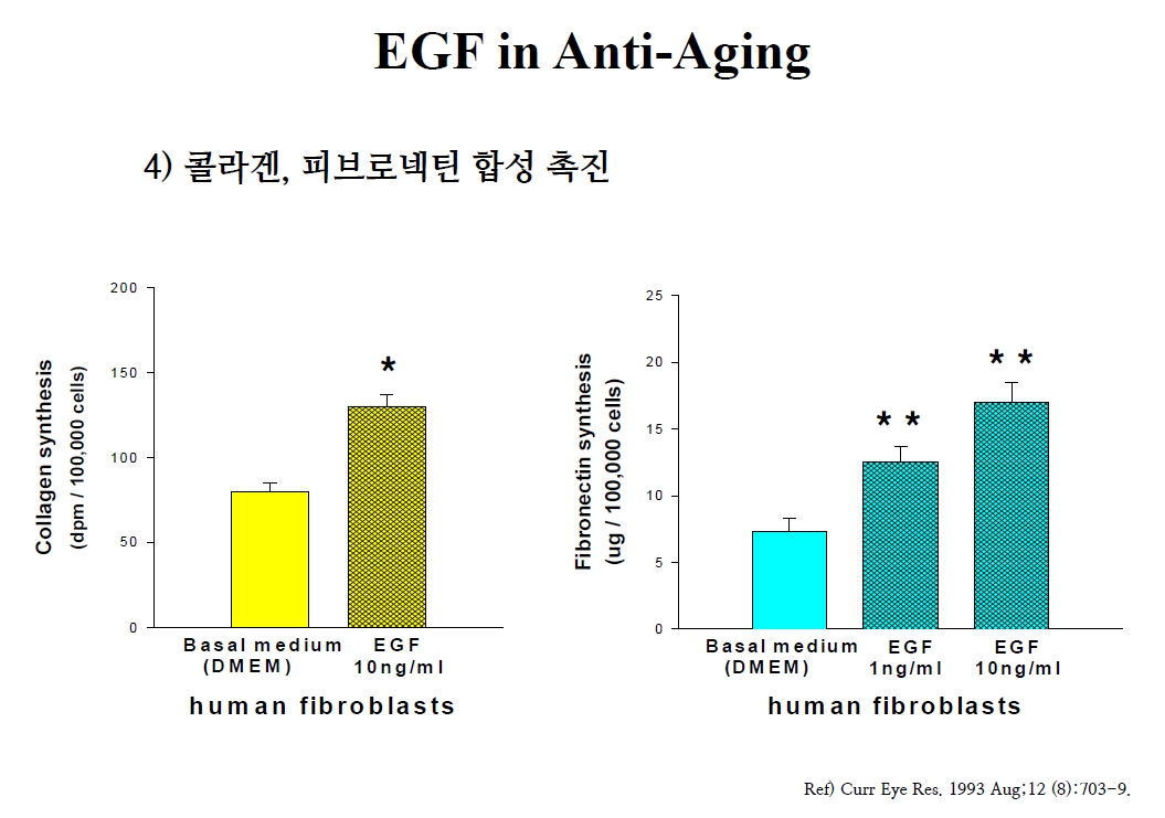 콜라겐 피브로넥틴 합성 촉진
