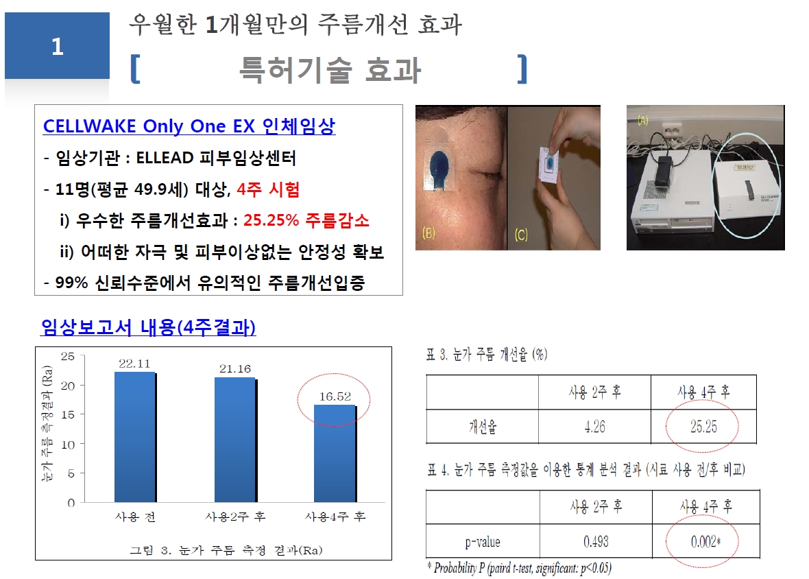 특허기술 효과