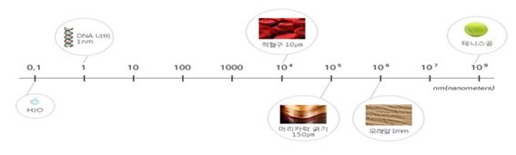 나노의 크기, 국립환경과학원, 나노안전성정보시스템
