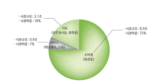 국내 안티에이징 시장 현황 